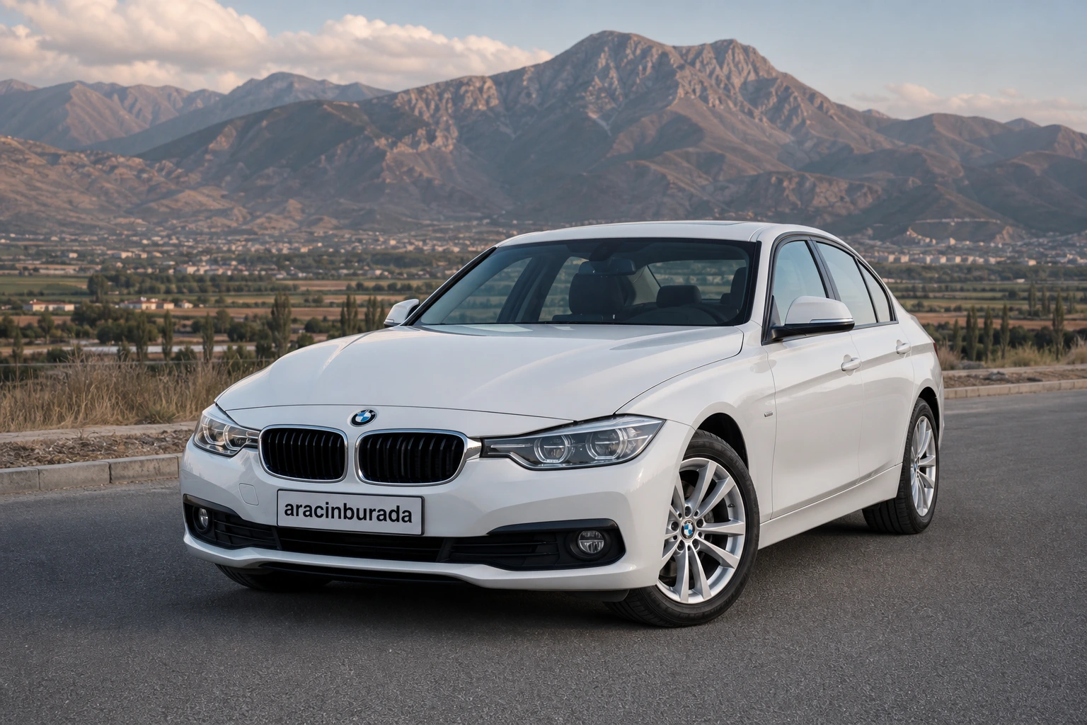 Erzincan Kemah Rent a Car araç görseli 2