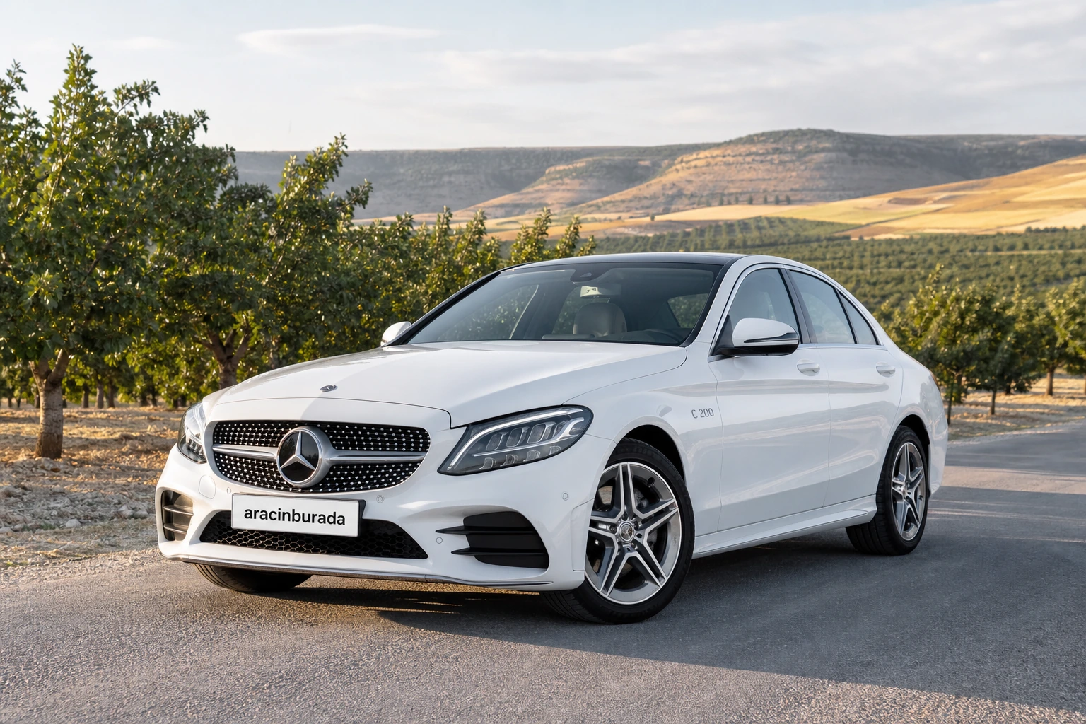 Gaziantep Nizip Rent a Car araç görseli 1