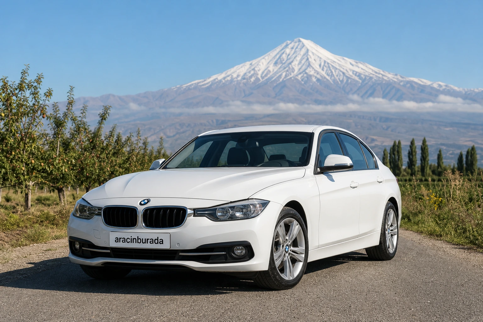ığdır tuzluca rent a car Iğdır Tuzluca Rent a Car teslimat