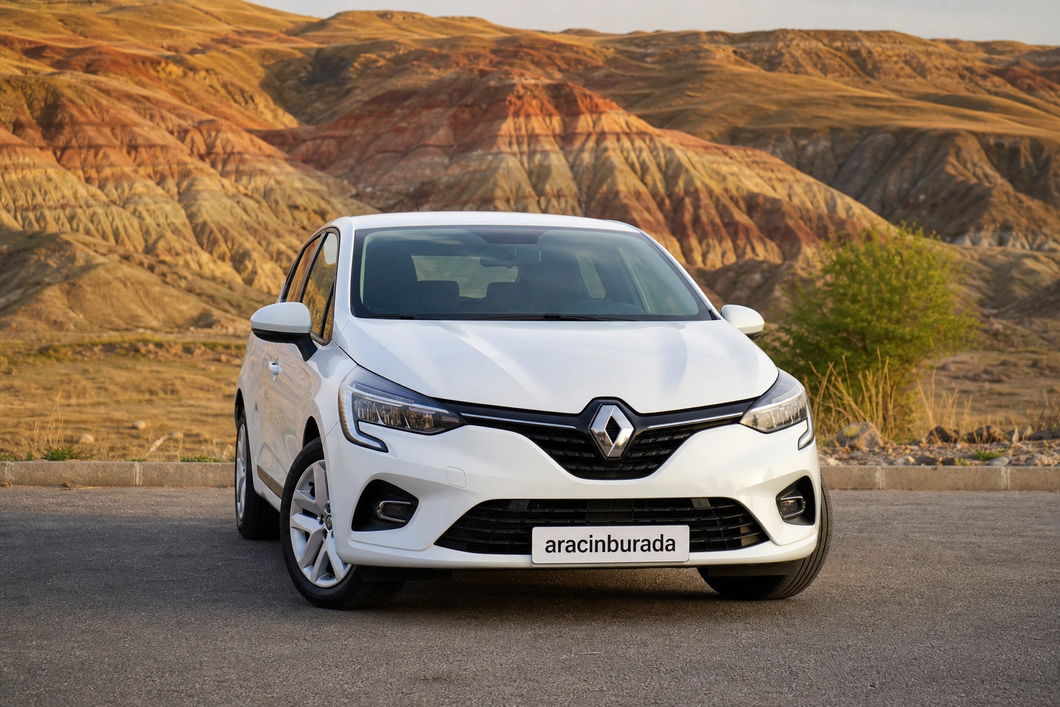 ığdır tuzluca rent a car Iğdır Tuzluca Rent a Car araç sınıfı
