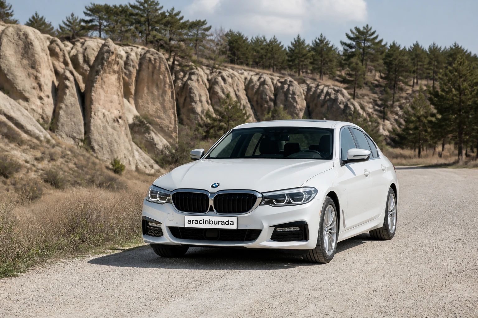 Kütahya Dumlupınar Rent a Car araç görseli 2