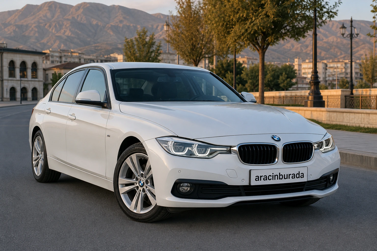 Malatya Arapgir Rent a Car araç görseli 2