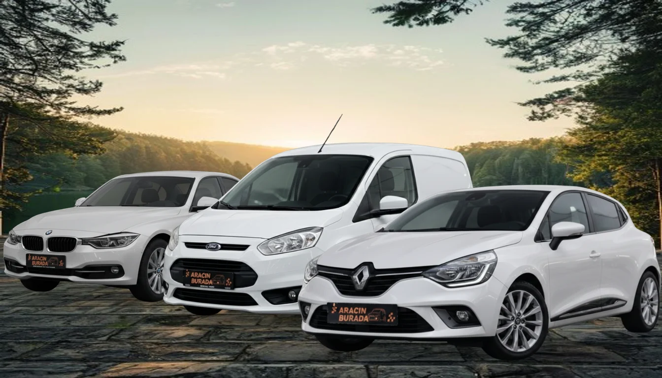 Düzce Merkez Rent a Car