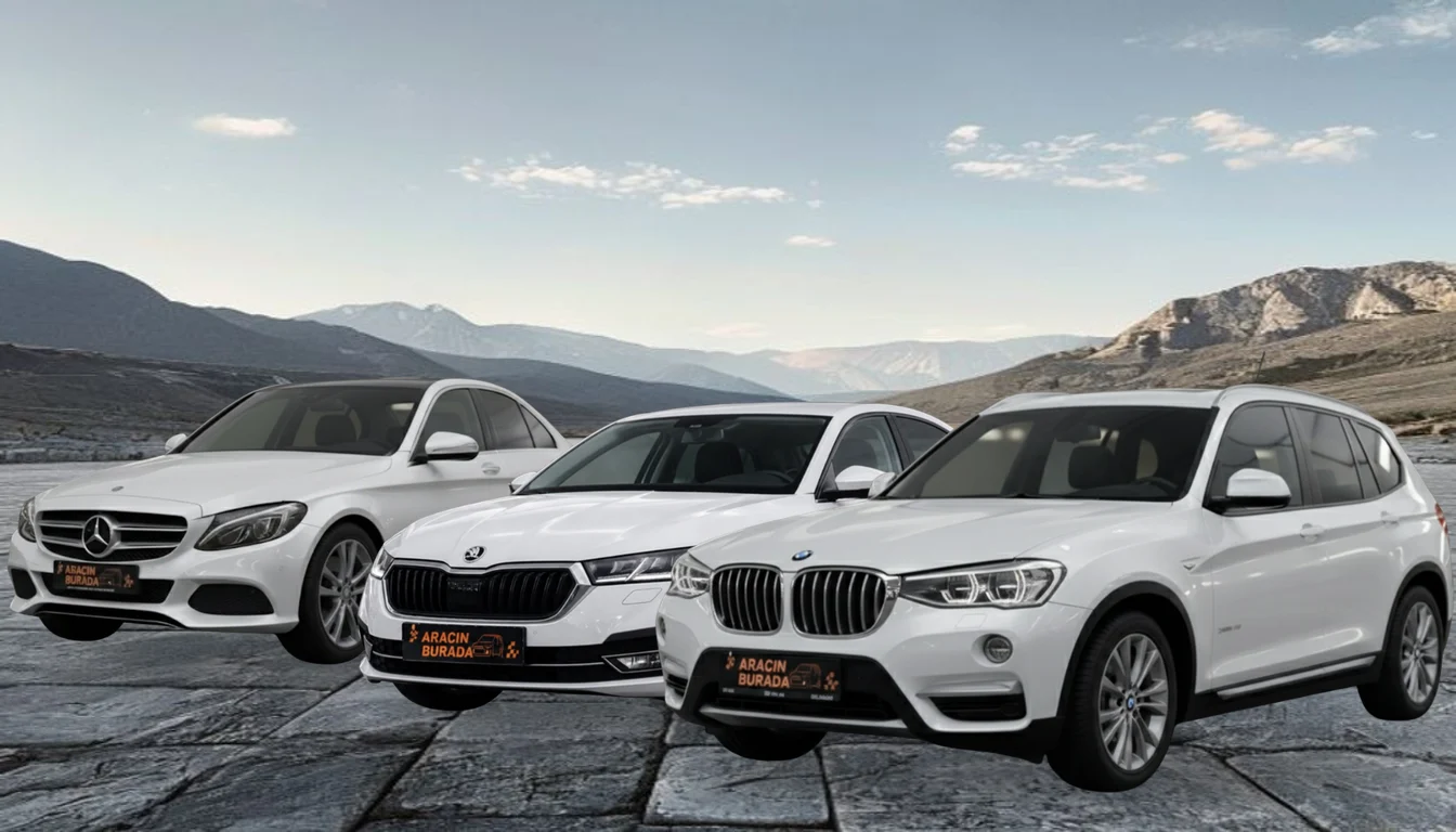 Muş Bulanık Rent a Car