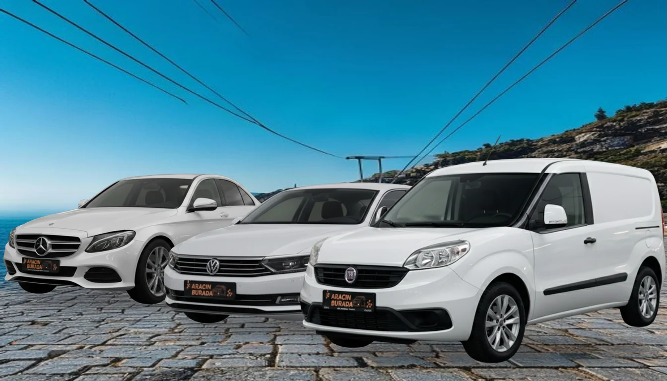 Ordu Akkuş Rent a Car