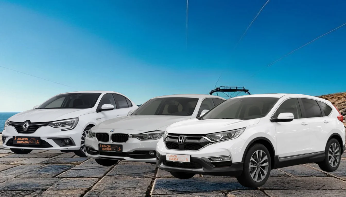 Ordu Altınordu Rent a Car