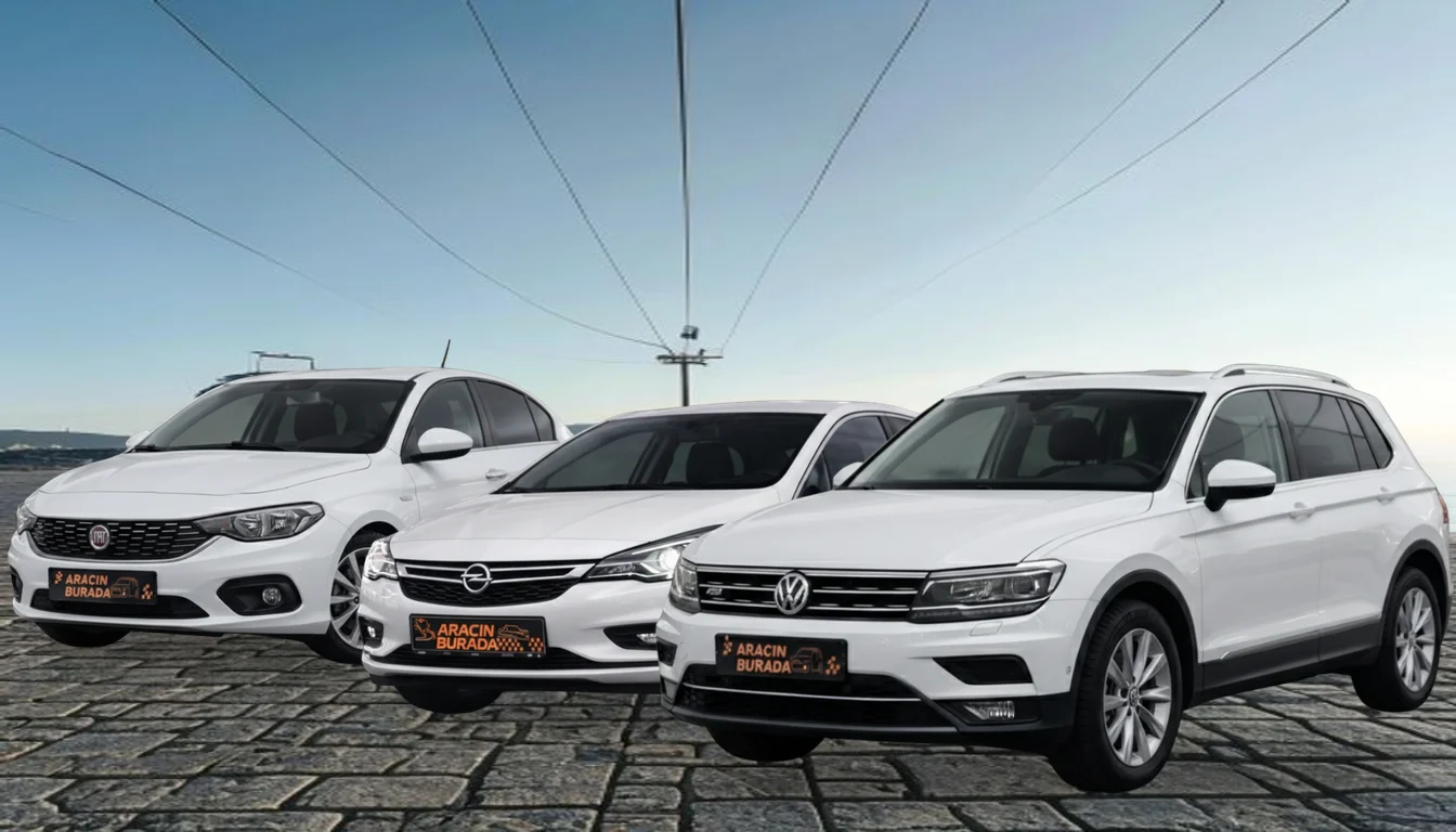 Ordu Çatalpınar Rent a Car